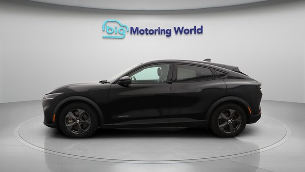 Used Ford Mustang Mach-E 2021 for sale - 76251118: Photo 5