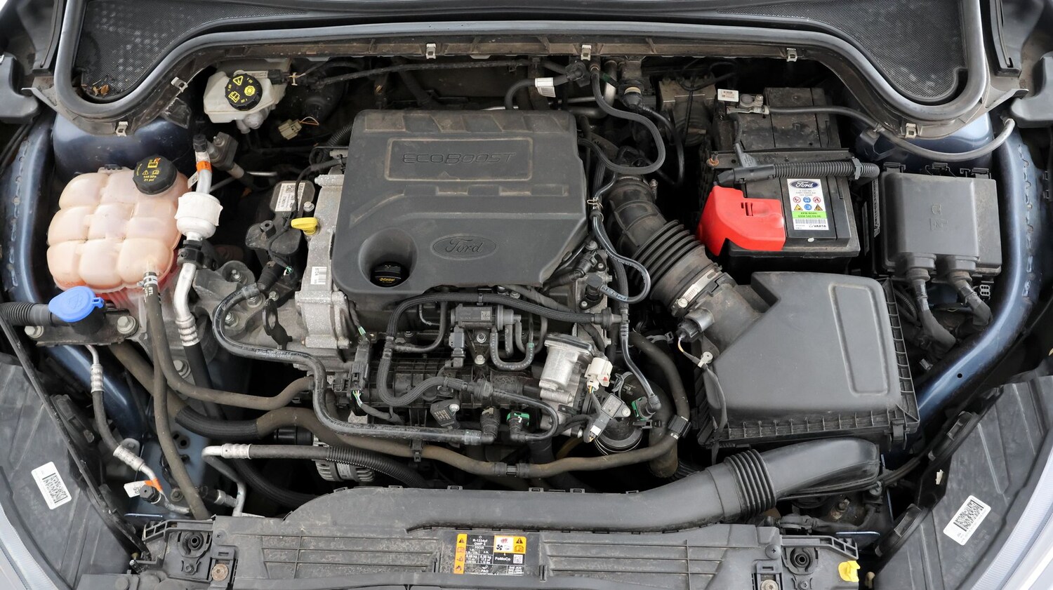 Used Ford Focus 2020 for sale - 77618486: Photo 19