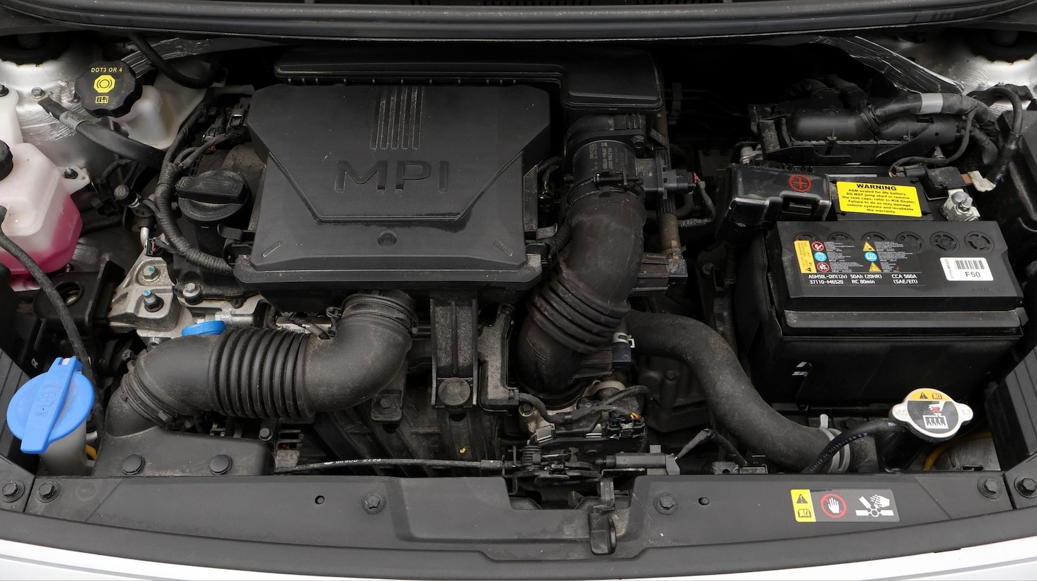 Used Kia Picanto for sale - 77750131: Photo 19