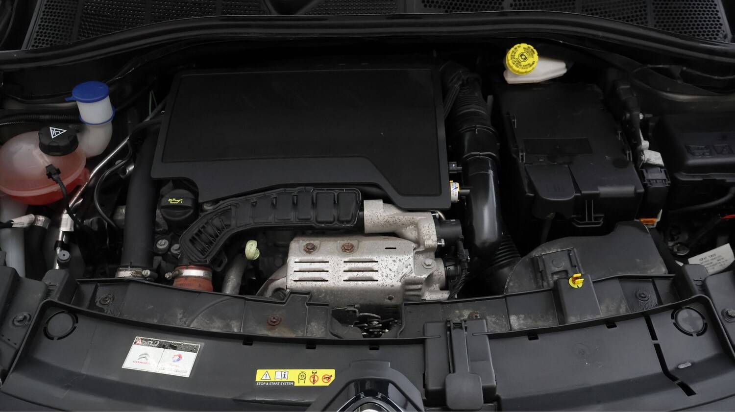 Used Citroen C4 Cactus 2019 for sale - 77418486: Photo 19