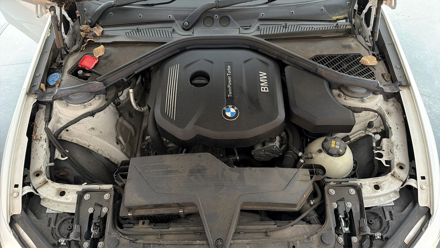 Used BMW 1 Series 2018 for sale - 77650377: Photo 17