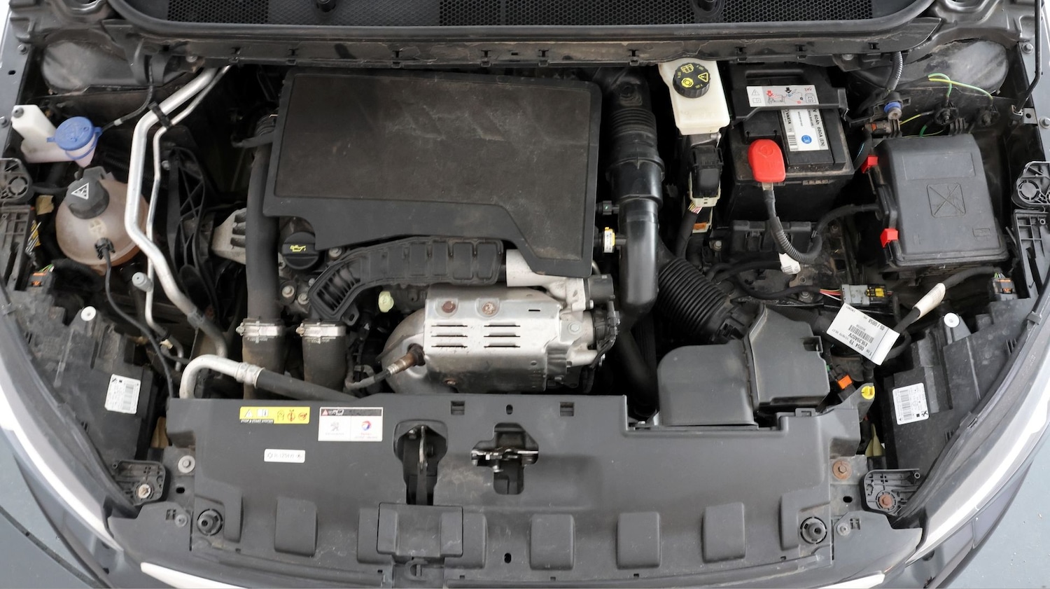 Used Peugeot 308 2019 for sale - 77632345: Photo 19