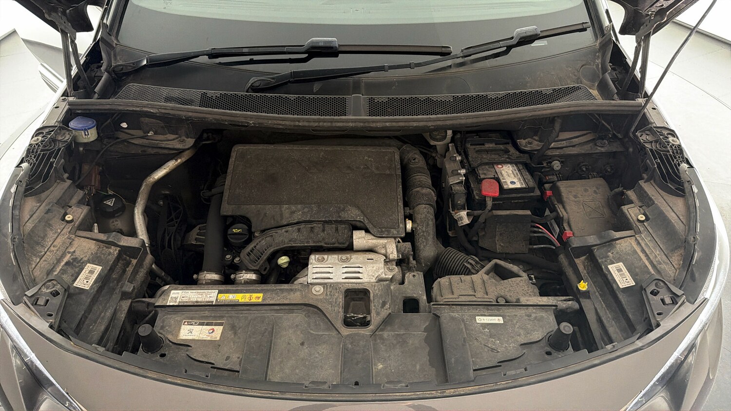 Used Peugeot 3008 2019 for sale - 77848537: Photo 19