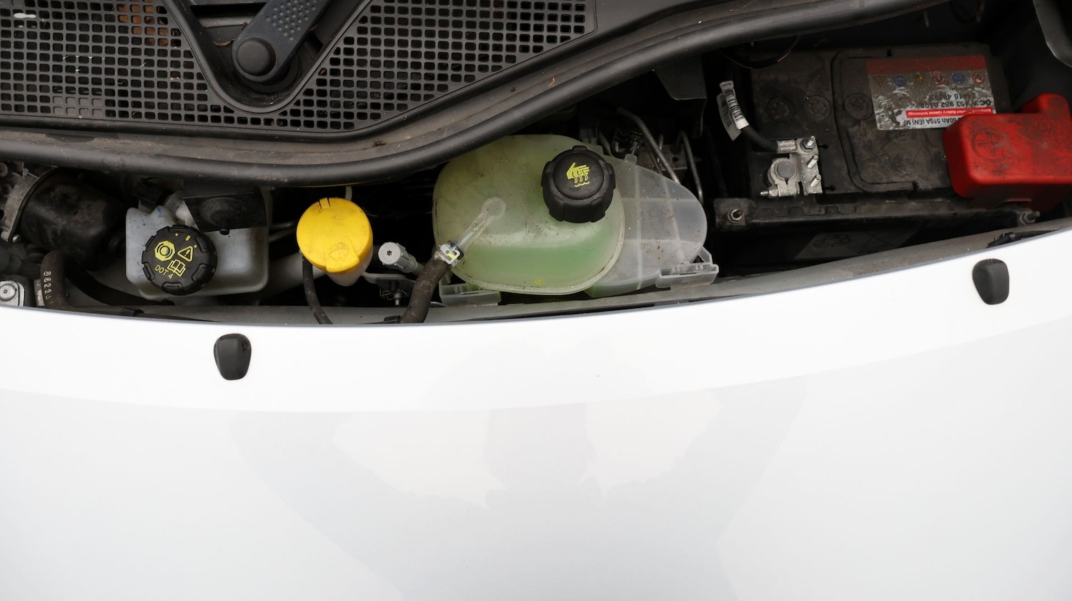 Used smart forfour 2021 for sale - 77653589: Photo 19