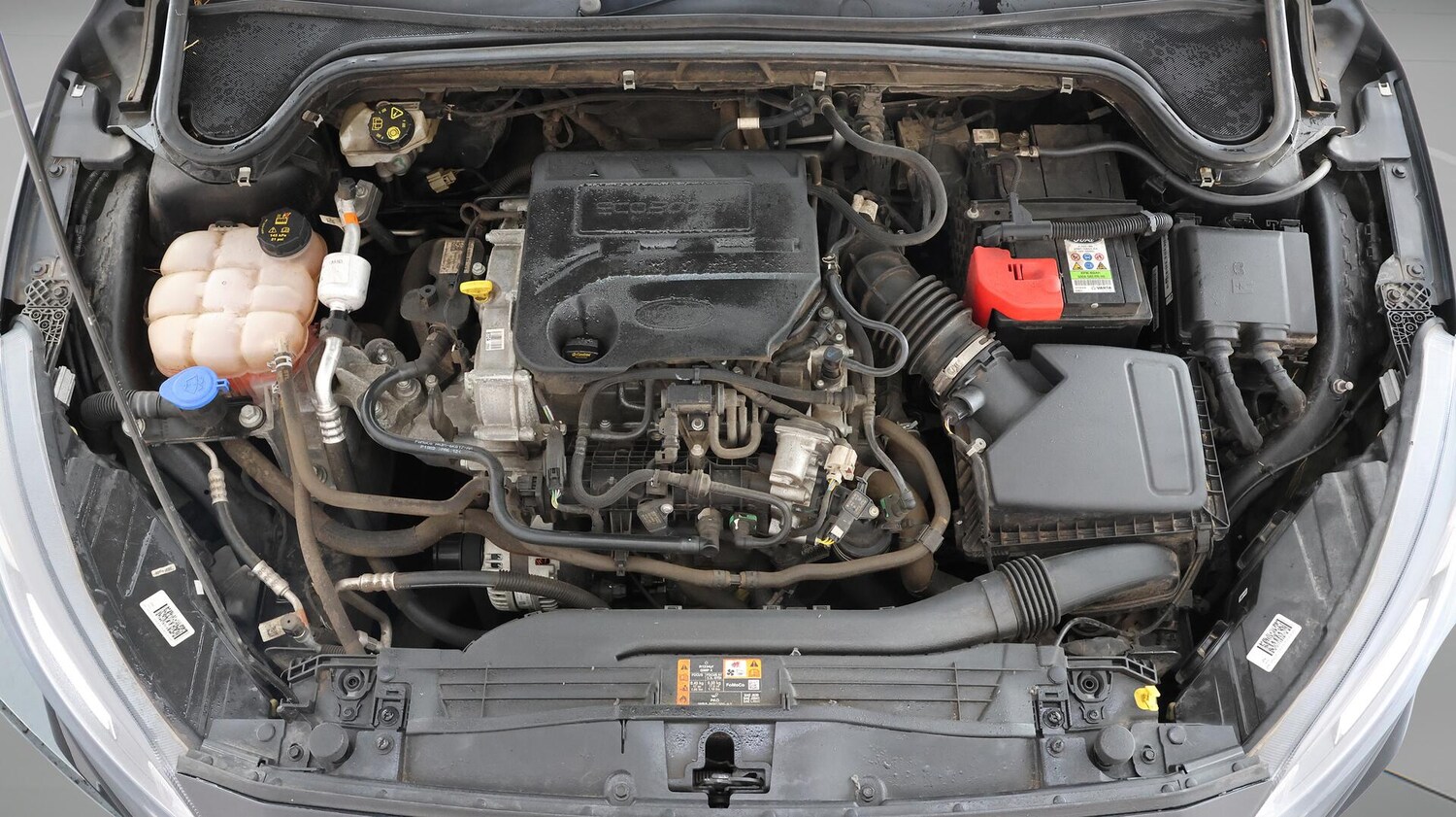 Vehicle 19