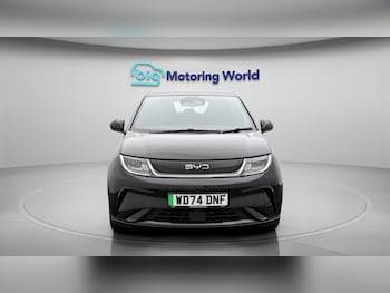 Used BYD Dolphin 2024 for sale - 78456597: Photo