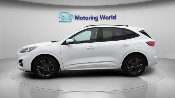 Used Ford Kuga 2023 for sale - 76151191: Photo 5