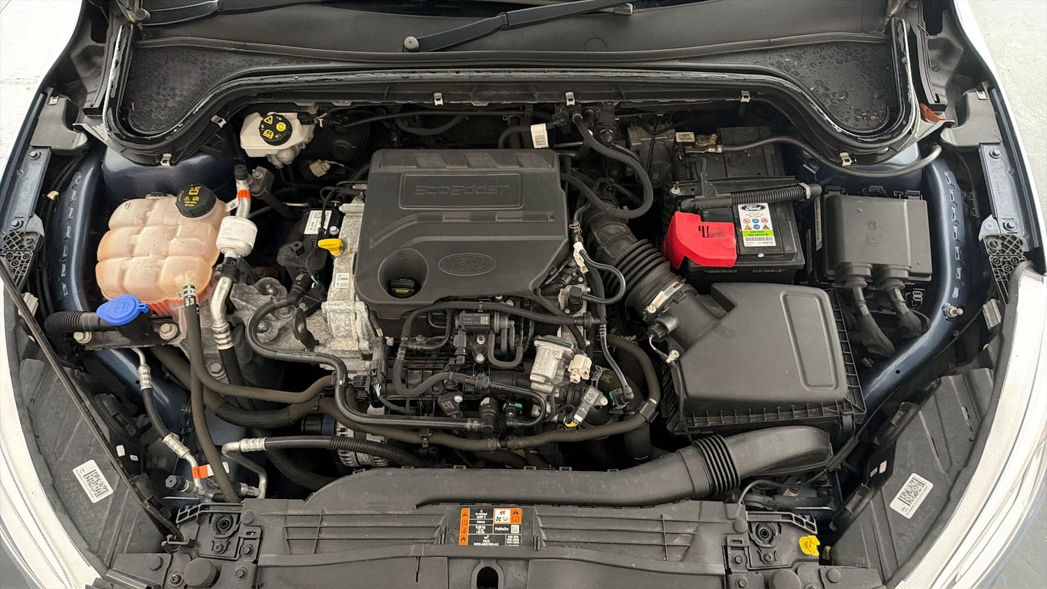 Used Ford Focus 2019 for sale - 77701457: Photo 19