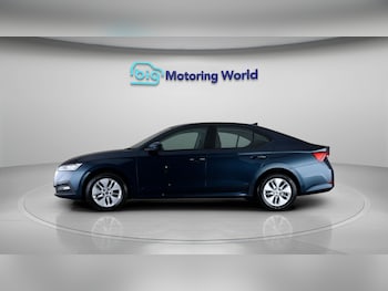 Used Skoda Octavia 2024 for sale - 79380899: Photo
