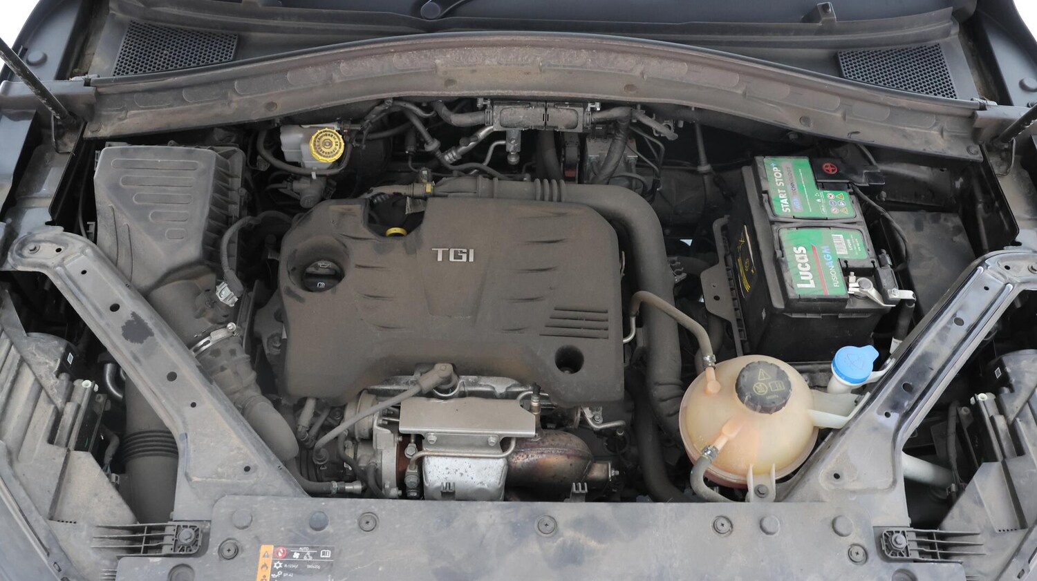 Vehicle 19