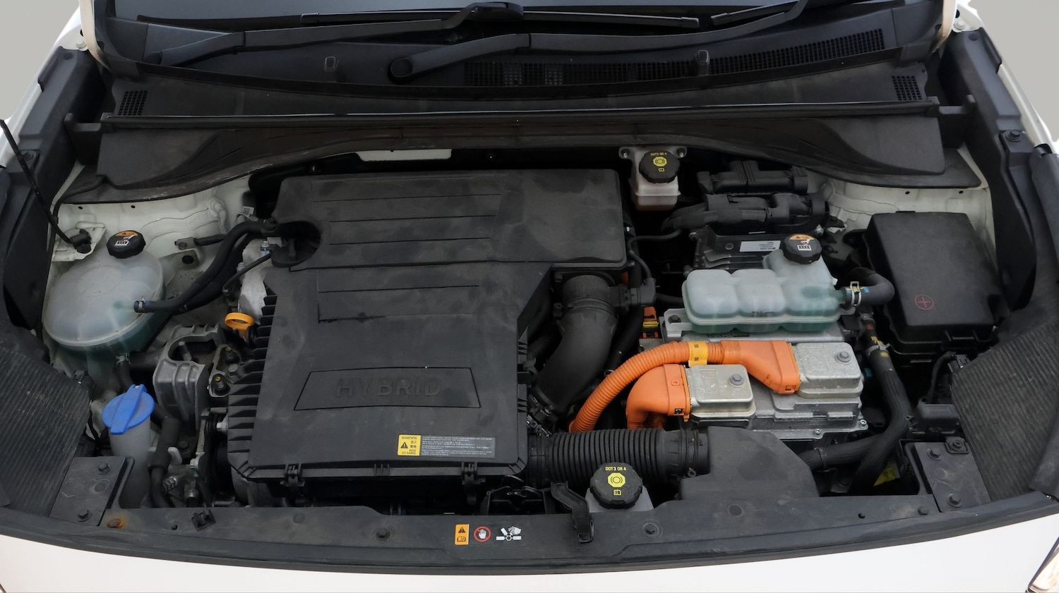 Used Kia Niro 2019 for sale - 77365522: Photo 19