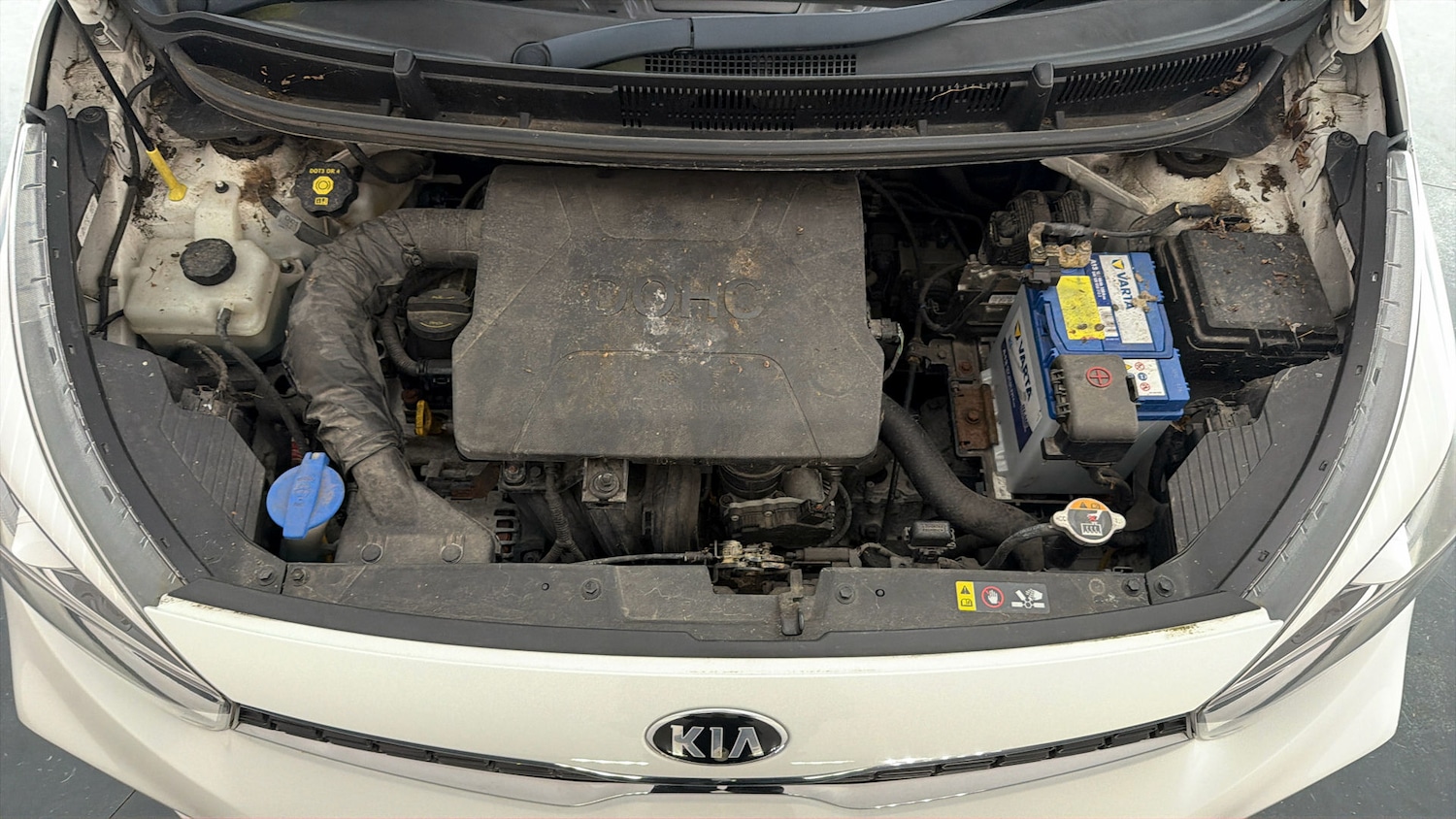 Used Kia Picanto 2017 for sale - 78012908: Photo 17