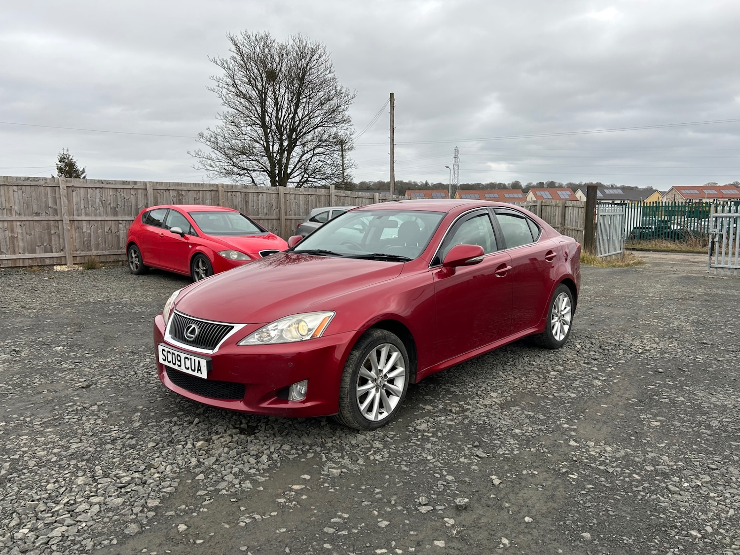 Used Lexus IS 2009 for sale - 77669188: Photo 2