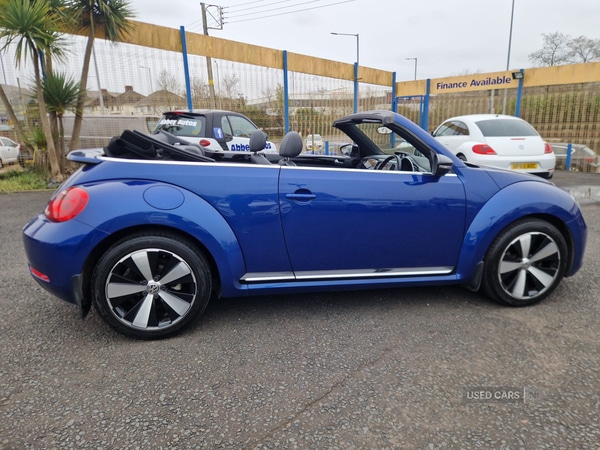 Used Volkswagen Beetle 2015 for sale - 78116829: Photo 4