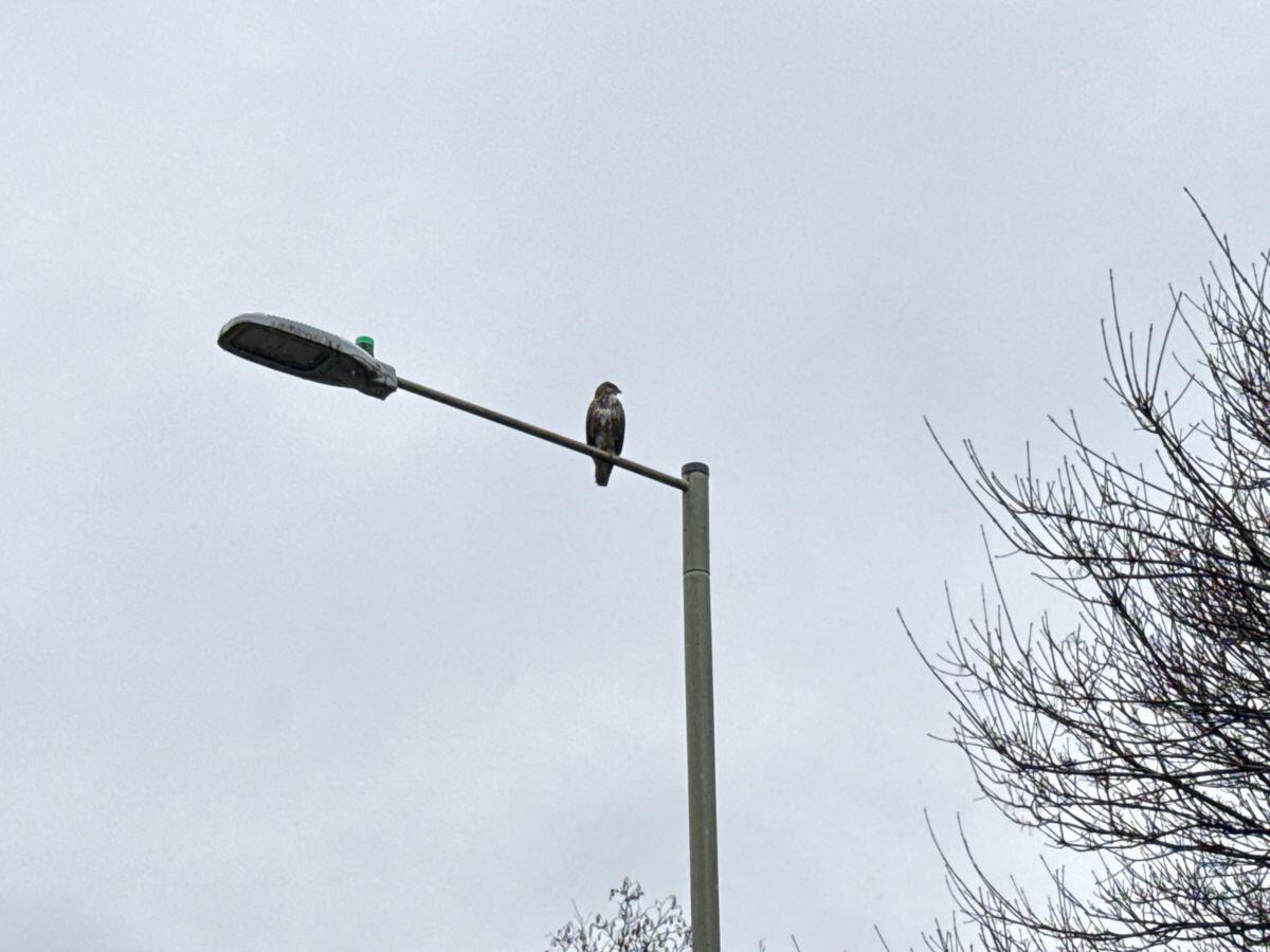 Used Hyundai TUCSON 2020 for sale - 77358549: Photo 24