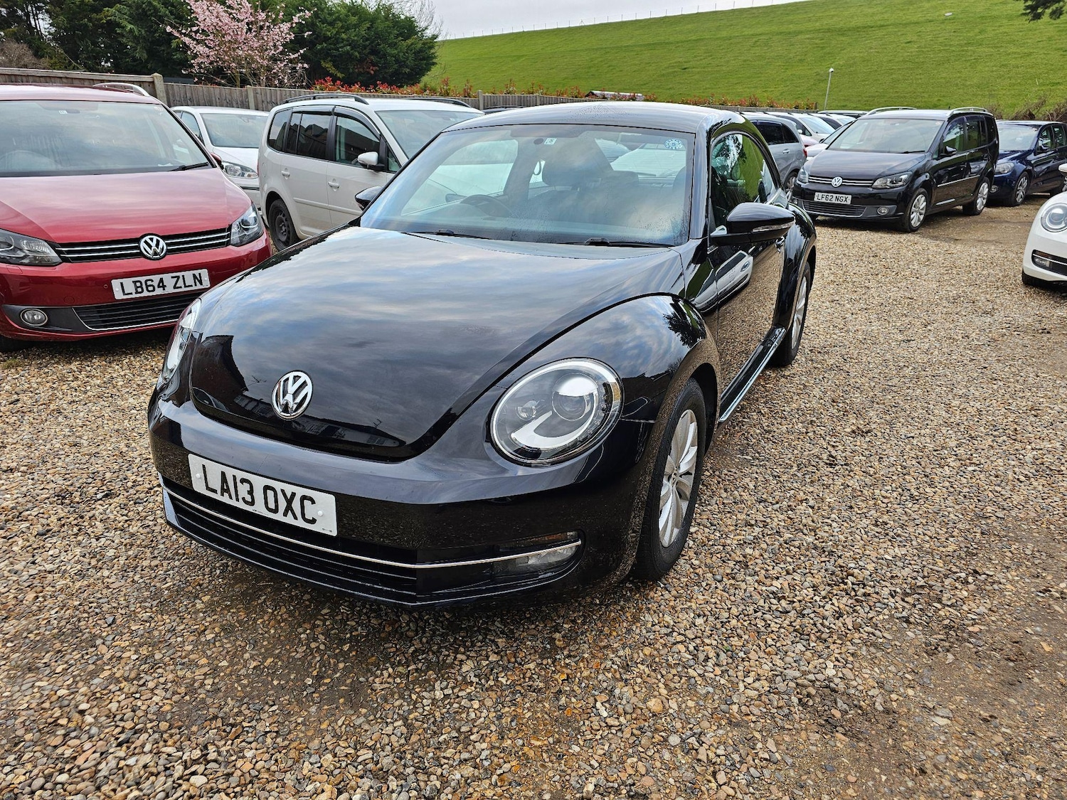 Used Volkswagen Beetle 2024 for sale - 76336694: Photo 1