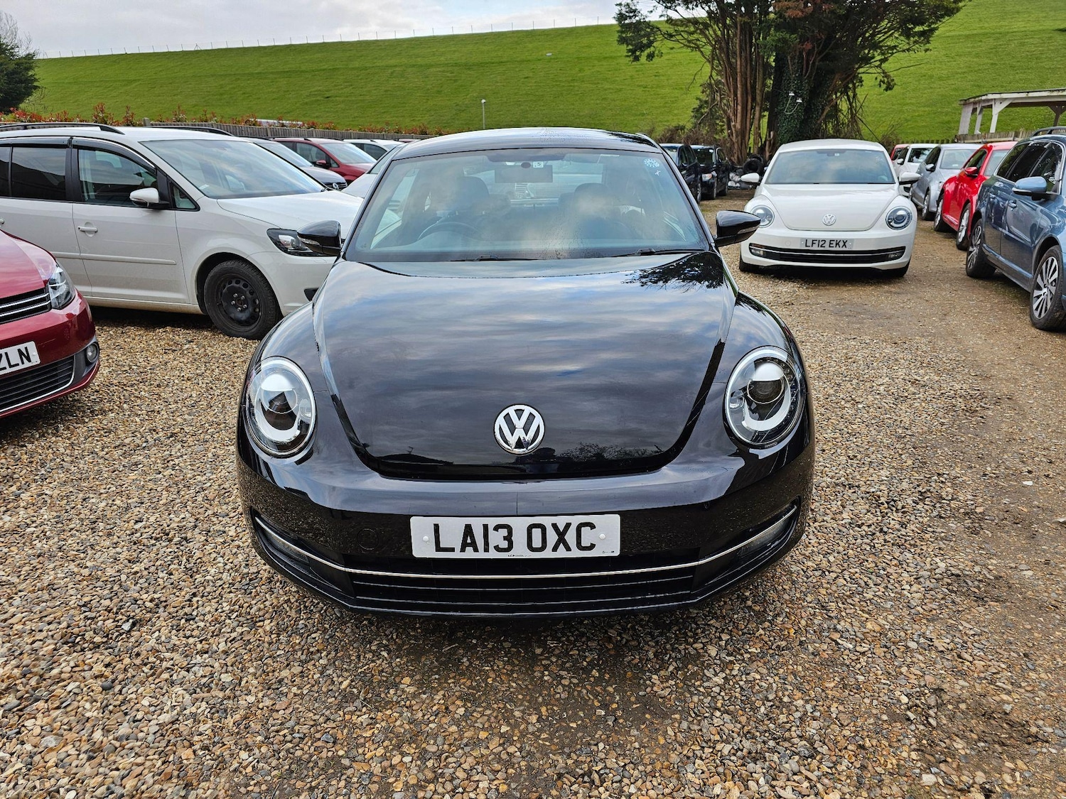 Used Volkswagen Beetle 2024 for sale - 76336694: Photo 4