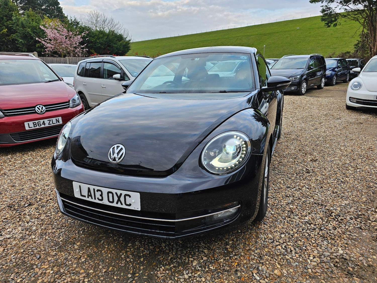 Used Volkswagen Beetle for sale - 76849792: Photo 10