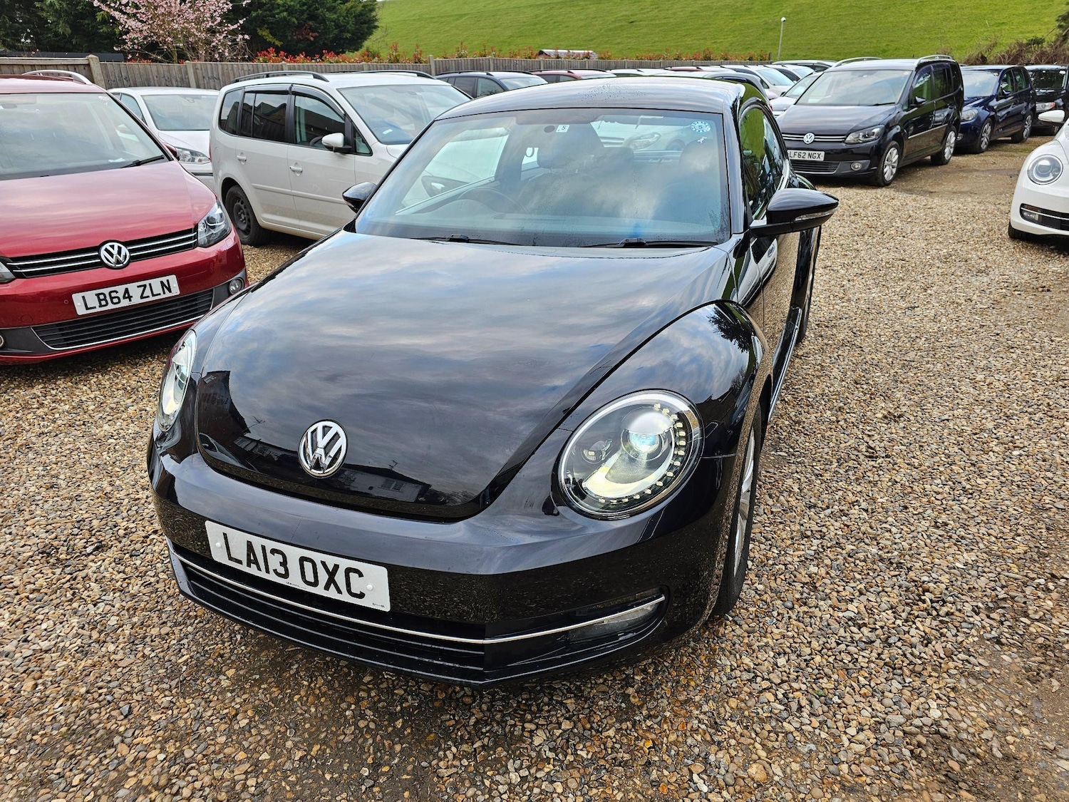 Used Volkswagen Beetle for sale - 76849792: Photo 11