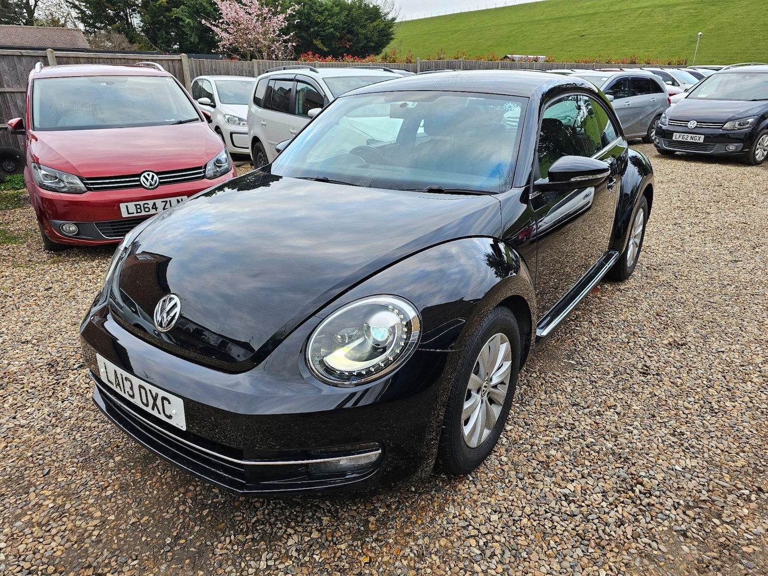 Used Volkswagen Beetle for sale - 76849792: Photo 12