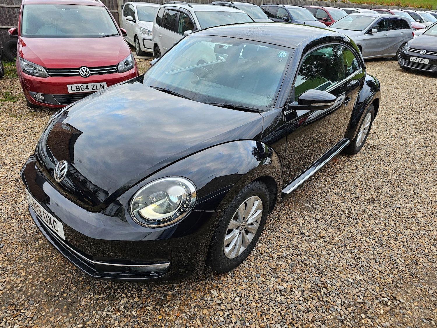 Used Volkswagen Beetle for sale - 76849792: Photo 13