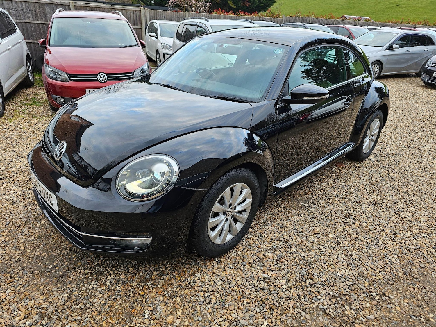 Used Volkswagen Beetle for sale - 76849792: Photo 14