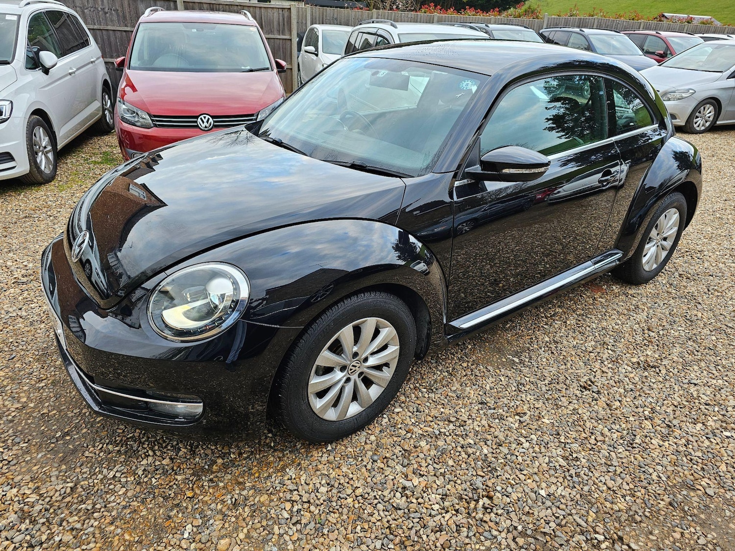 Used Volkswagen Beetle for sale - 76849792: Photo 15
