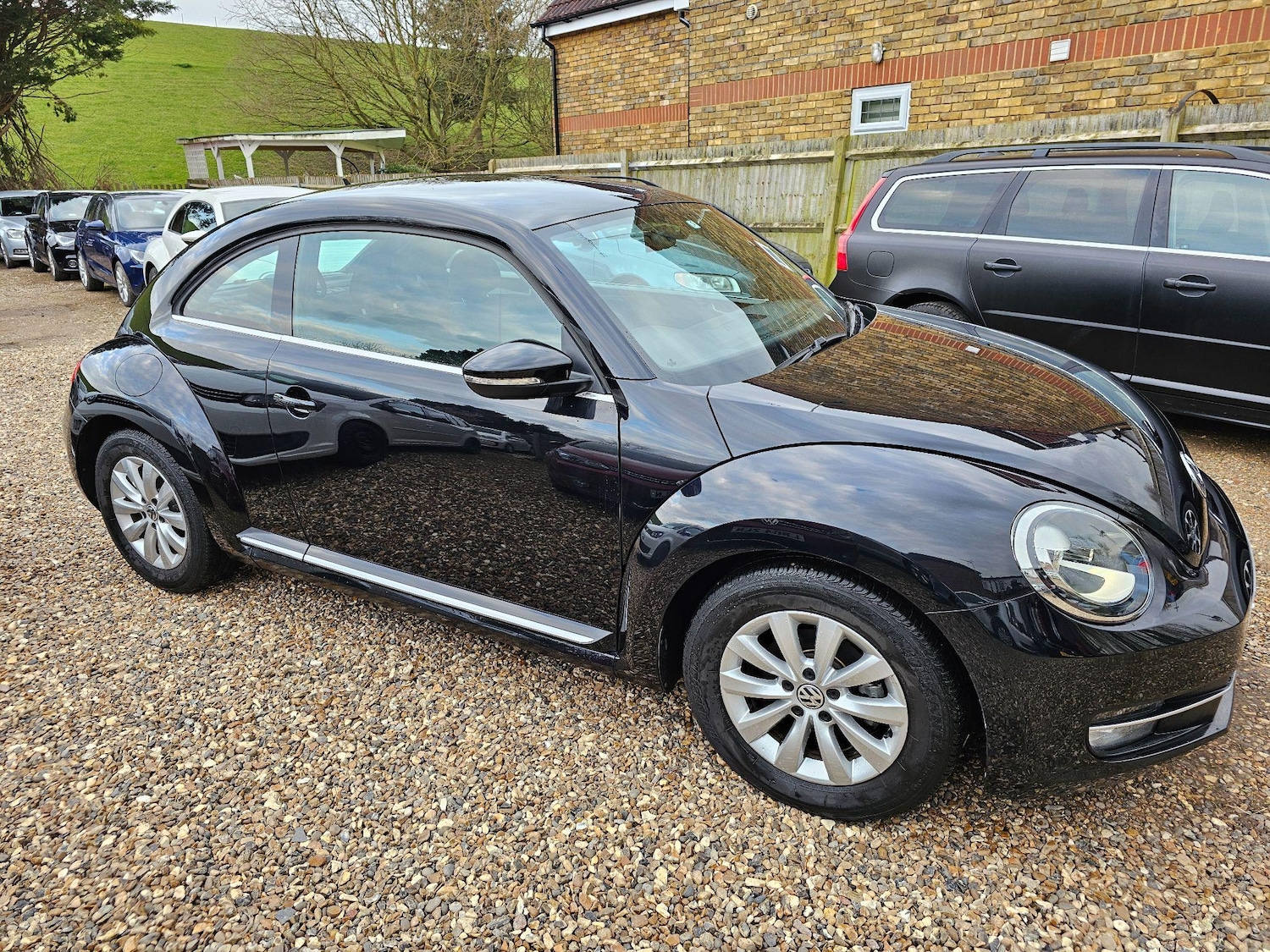 Used Volkswagen Beetle for sale - 76849792: Photo 2