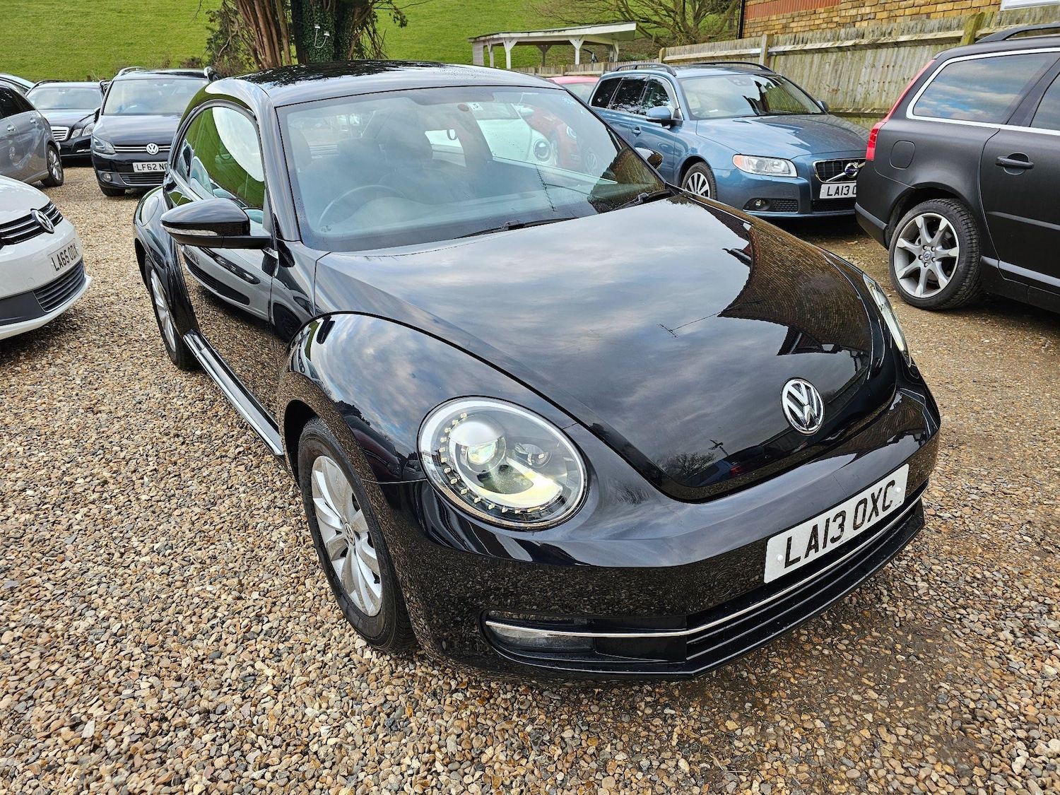 Used Volkswagen Beetle for sale - 76849792: Photo 7