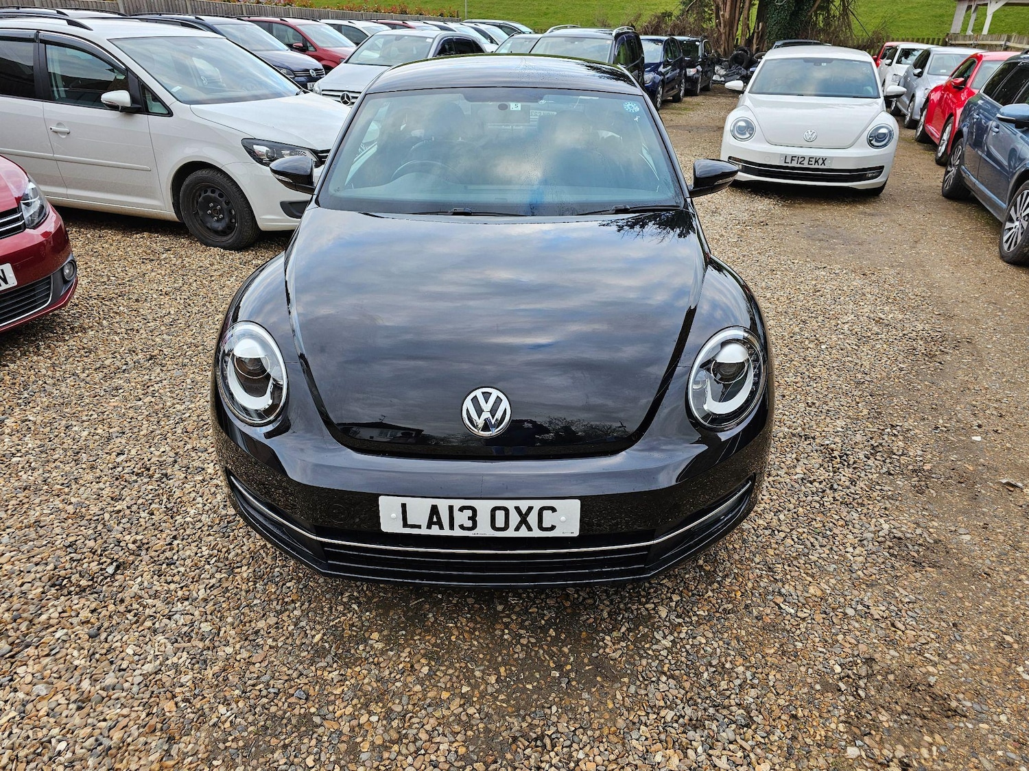 Used Volkswagen Beetle for sale - 76849792: Photo 9