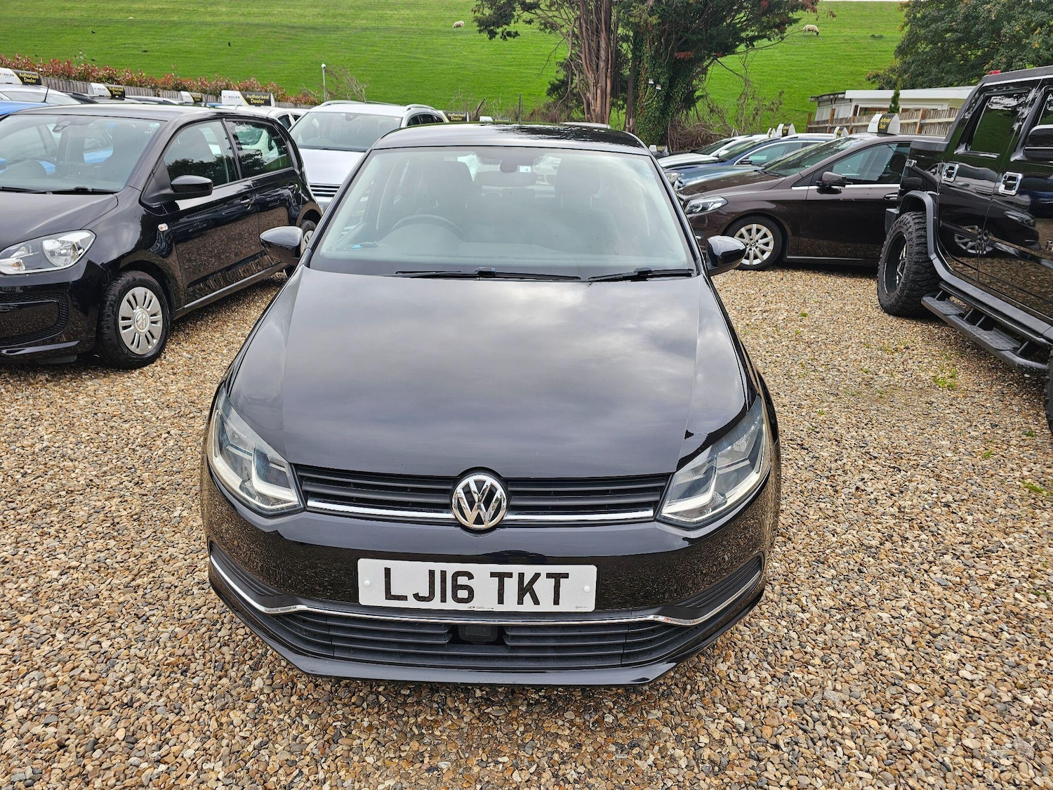 Used Volkswagen Polo for sale - 76306373: Photo 2