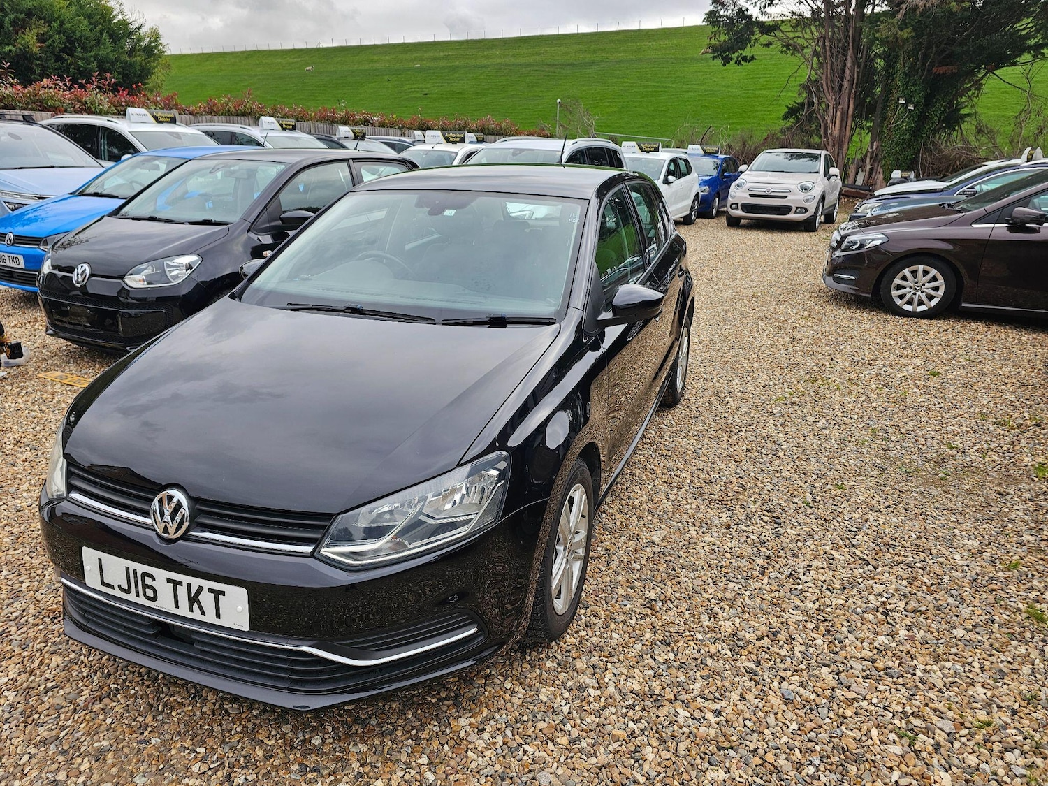Used Volkswagen Polo for sale - 76306373: Photo 3