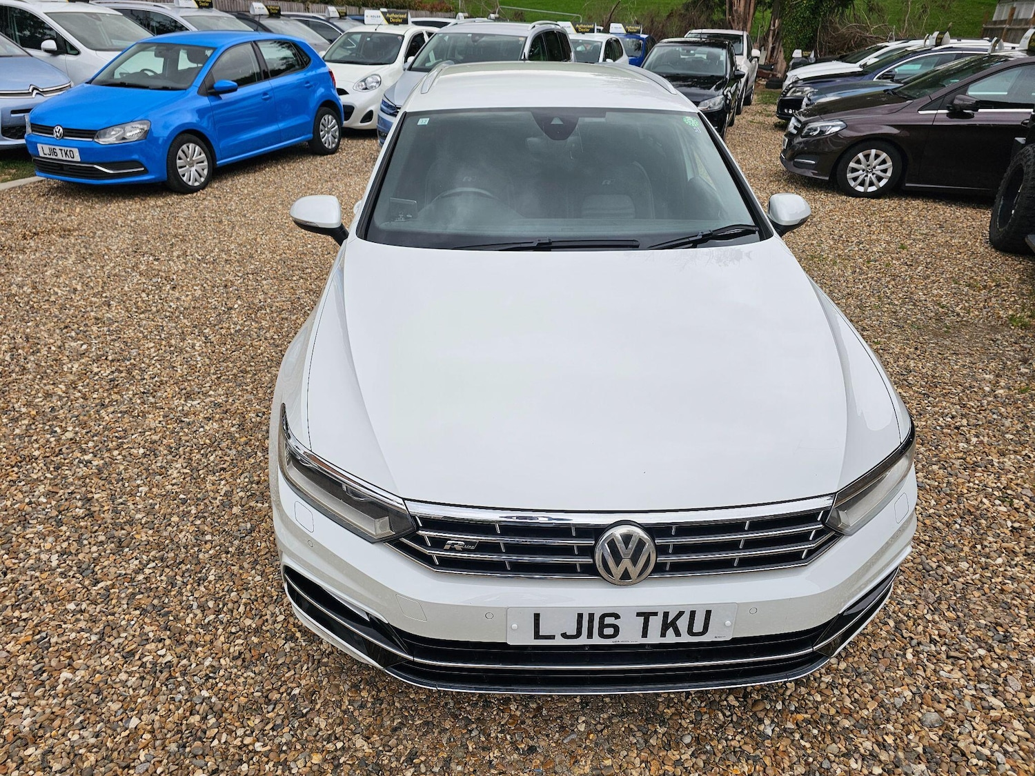 Used Volkswagen Passat for sale - 76306380: Photo 14