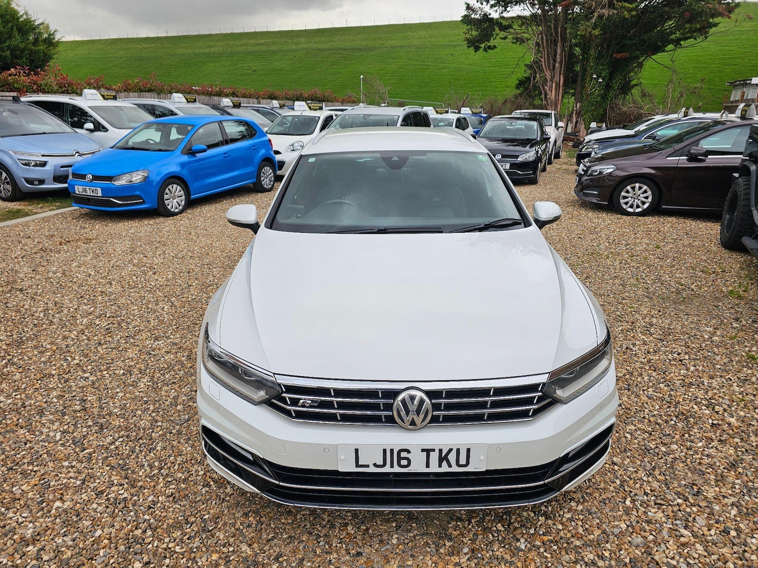 Used Volkswagen Passat for sale - 76306380: Photo 15