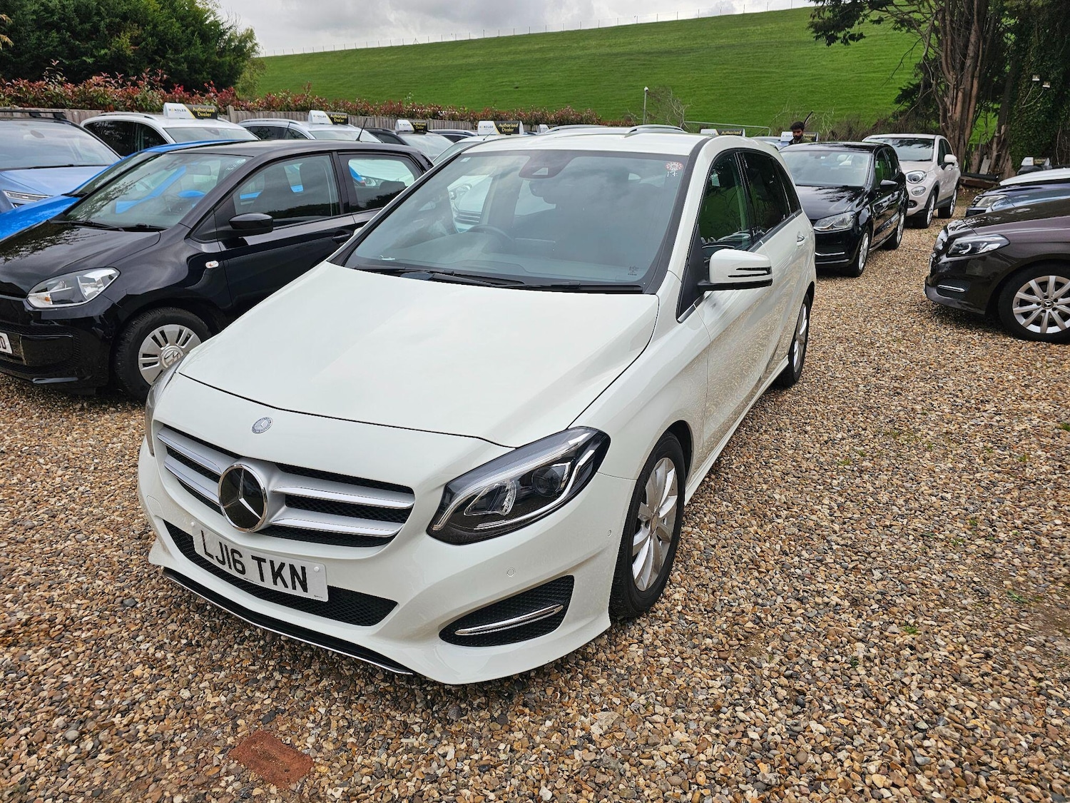 Used Mercedes-Benz B Class for sale - 76307357: Photo 18