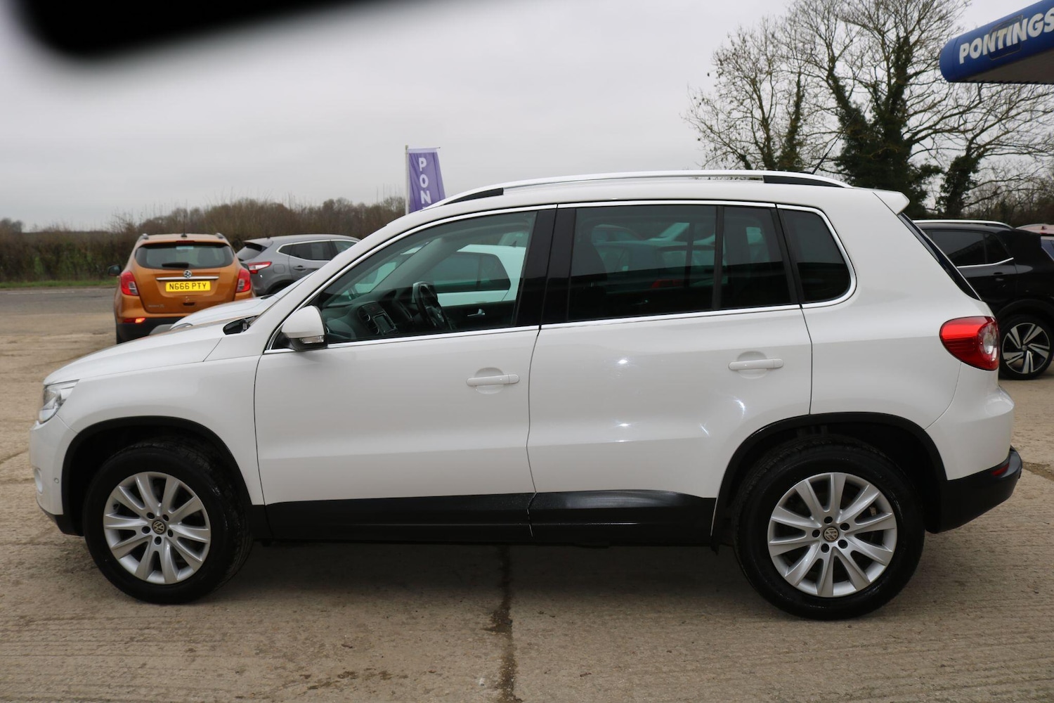 Used Volkswagen Tiguan for sale - 77783379: Photo 13