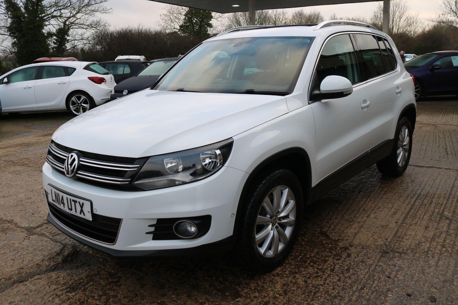 Used Volkswagen Tiguan 2014 for sale - 77498211: Photo 15