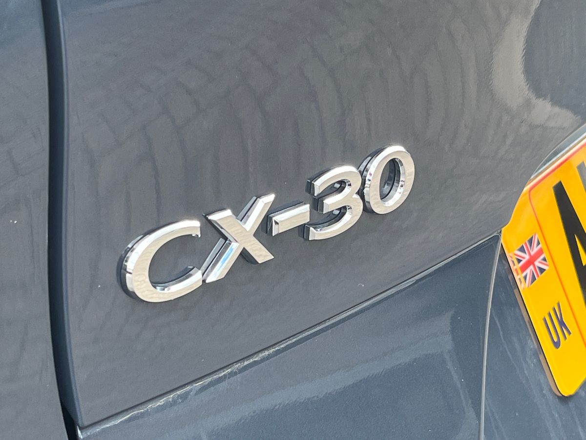 Vehicle 29