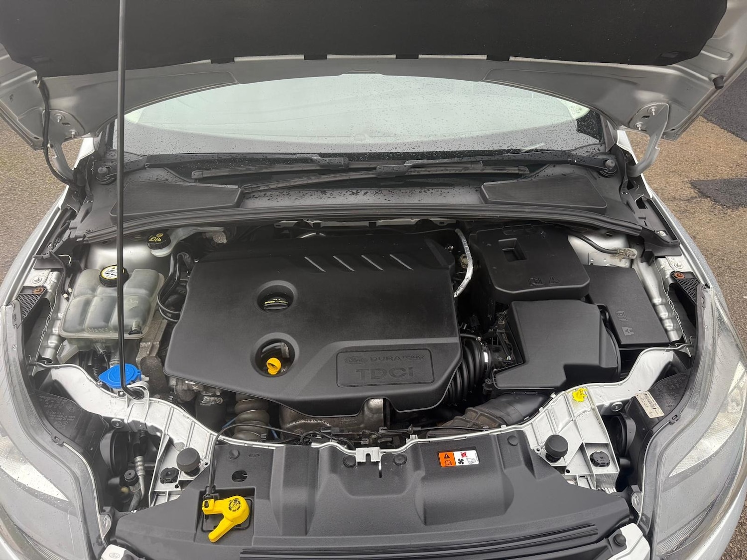 Used Ford Focus 2014 for sale - 77104594: Photo 10