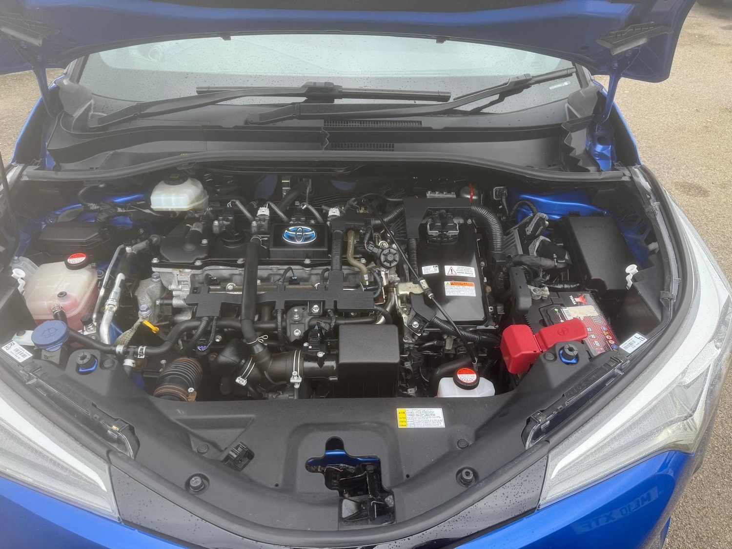 Used Toyota C-HR 2017 for sale - 77803375: Photo 28