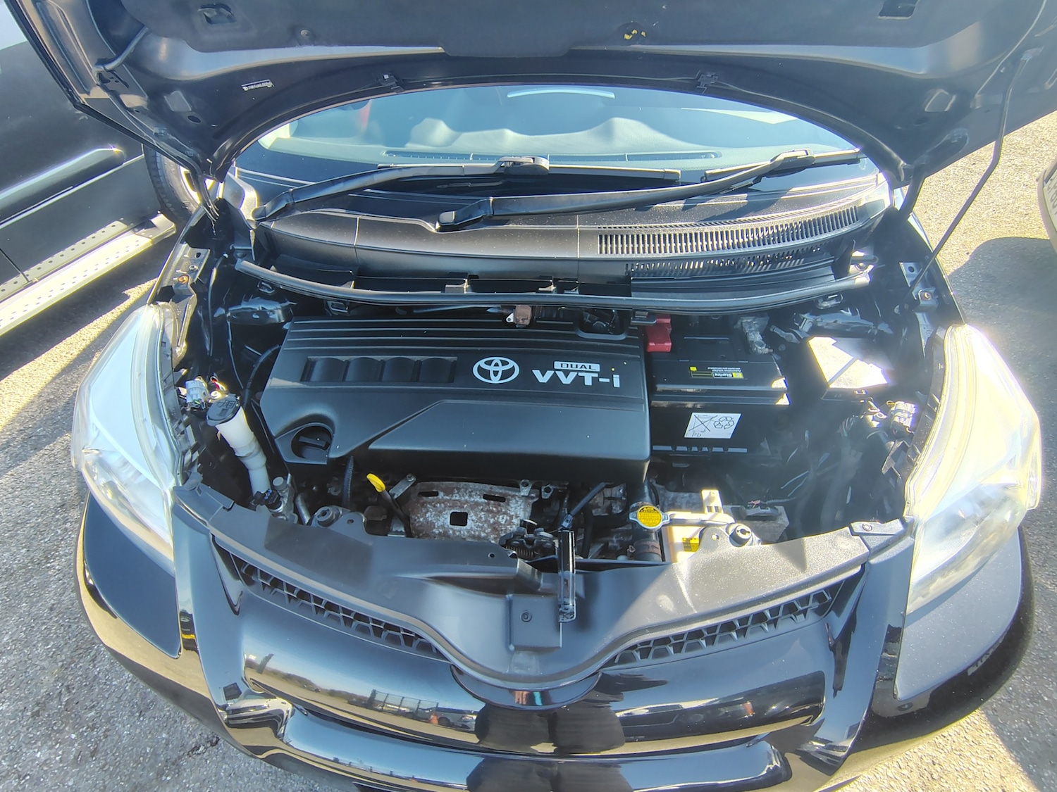 Used Toyota Urban Cruiser 2009 for sale - 77617929: Photo 17