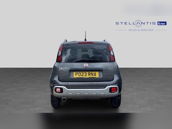 Used Fiat Panda 2023 for sale - 79050426: Photo