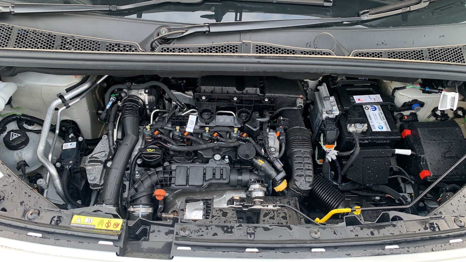 Used Citroen Berlingo 2024 for sale - 76716051: Photo 18