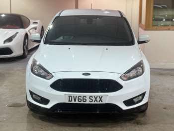 Used Ford Focus 2016 for sale - 73775010: Photo