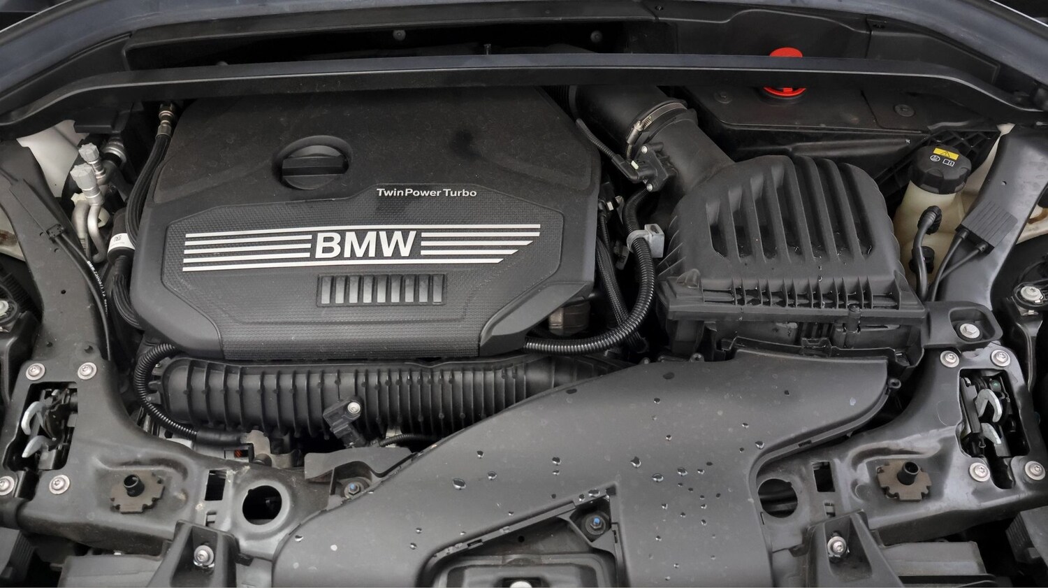 Used BMW X1 2019 for sale - 77675362: Photo 19