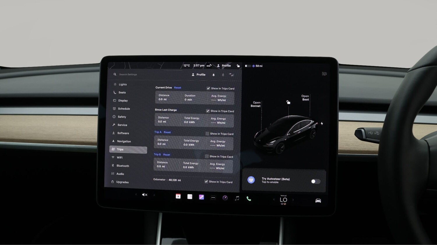 Used Tesla Model 3 2019 for sale - 77181413: Photo 10