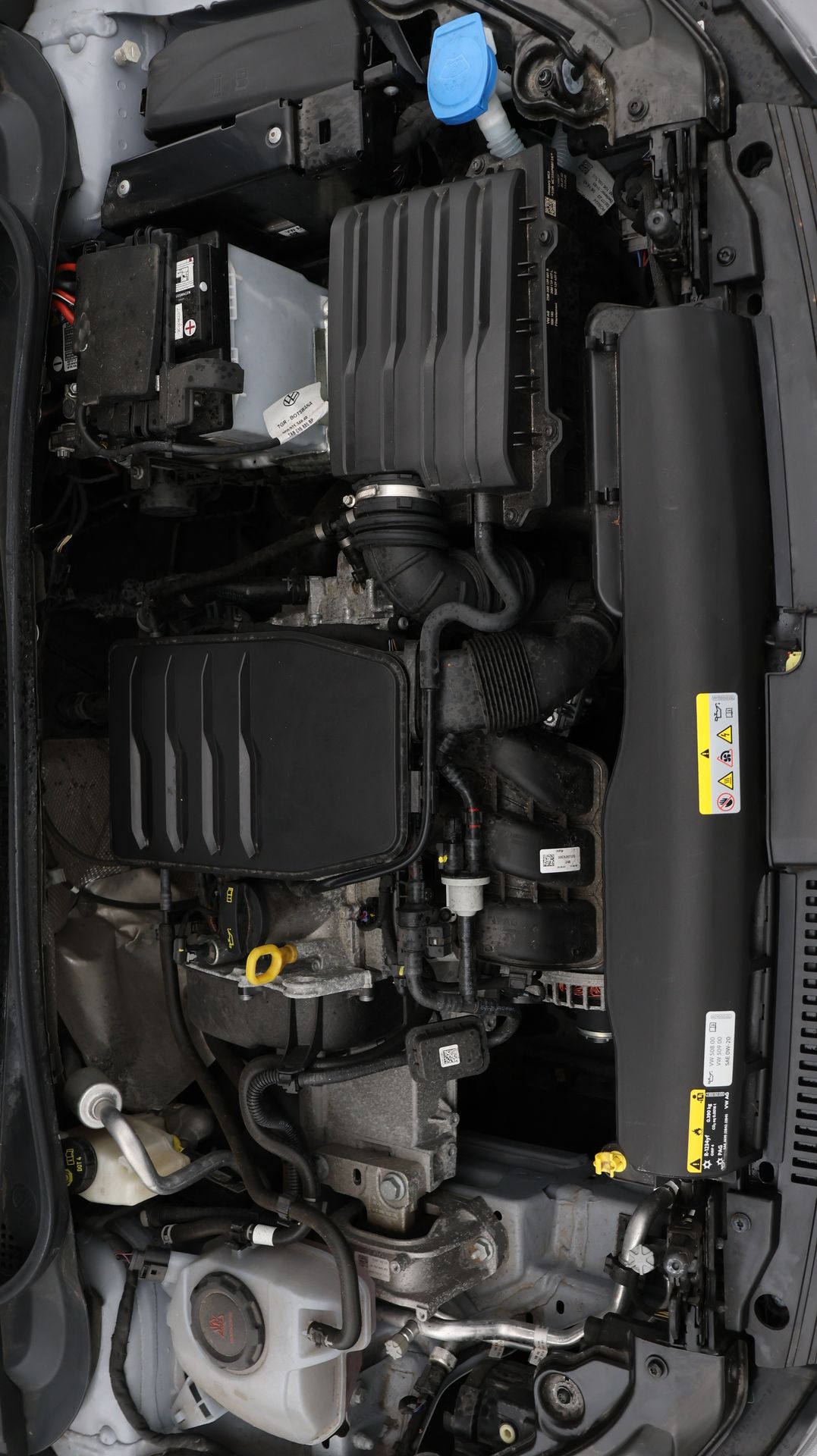 Used Volkswagen Polo 2023 for sale - 77521885: Photo 19