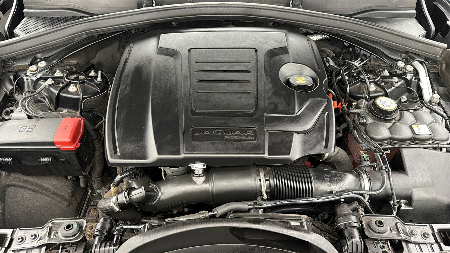 Used Jaguar F-Pace 2023 for sale - 78000872: Photo 18