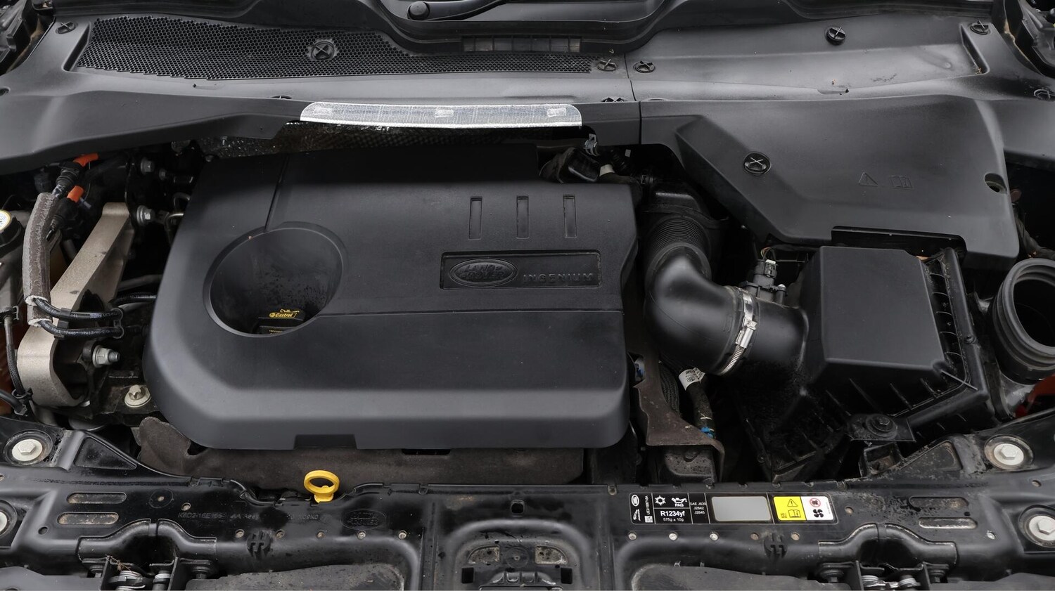 Vehicle 31