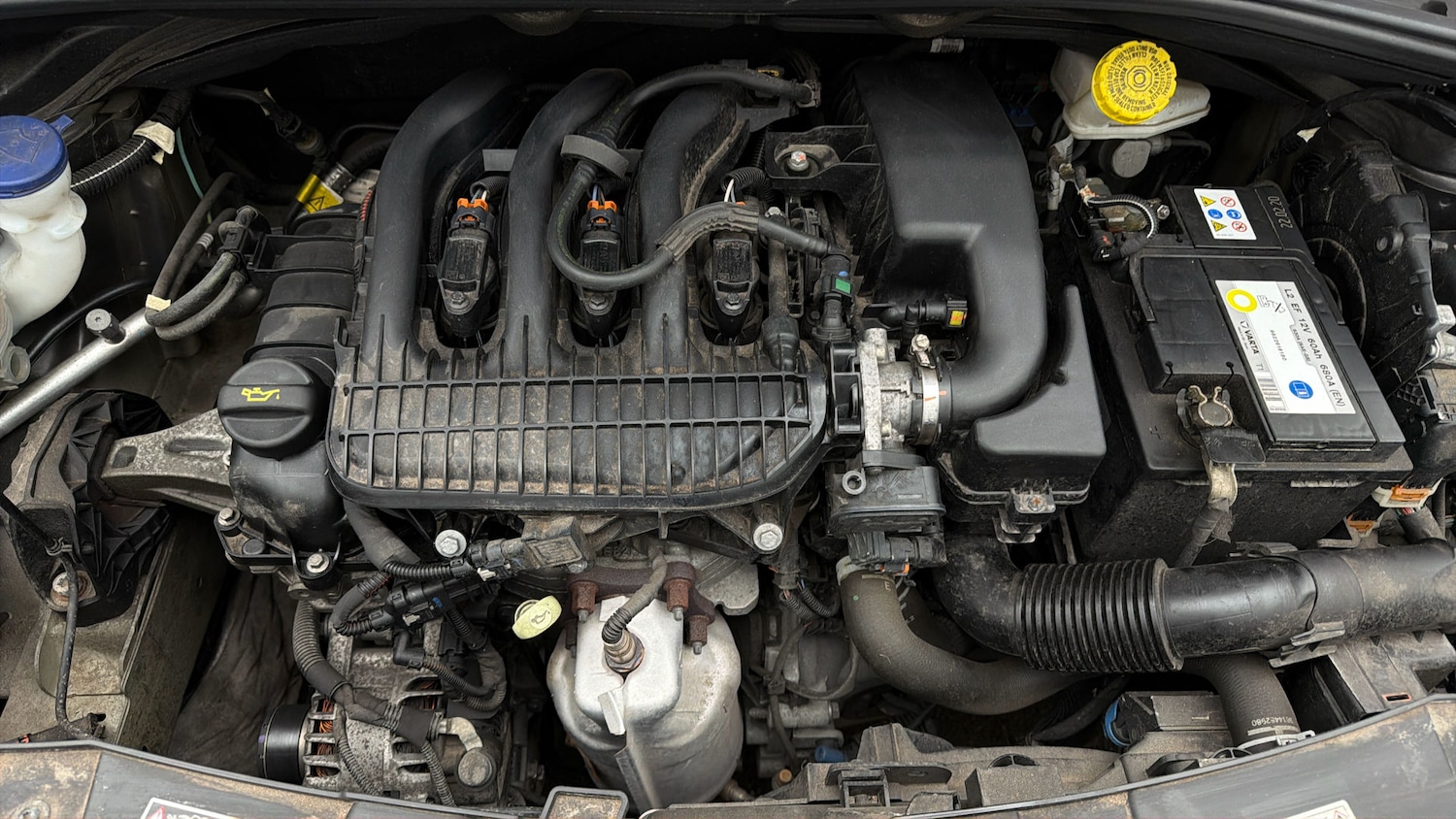 Used Volkswagen Polo 2021 for sale - 77934500: Photo 18